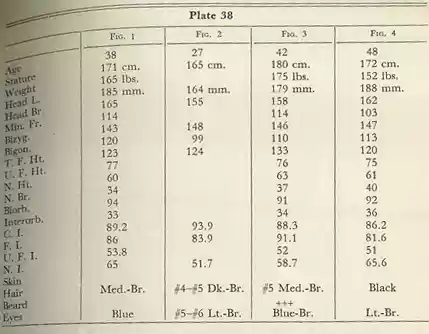 Plate 38